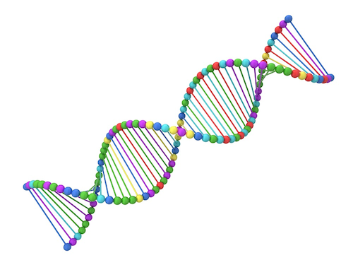 DNA